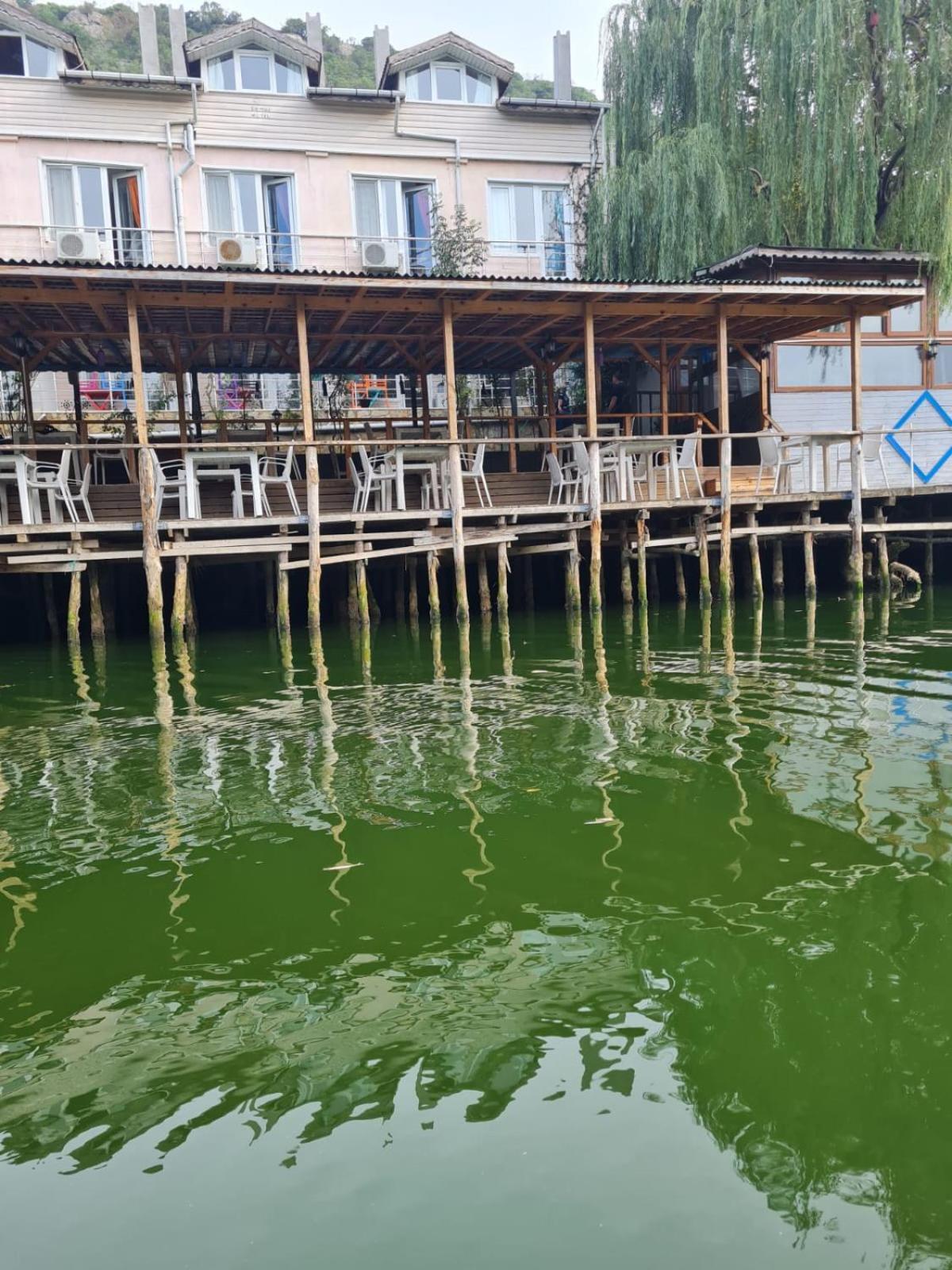Agva Temmuz Otel — Photos 1